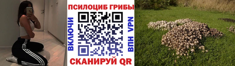 Галлюциногенные грибы мухоморы  Аткарск 
